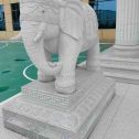 茂名 白麻花岗岩动物异形石雕-大象