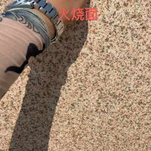 茂名黄金麻火烧面