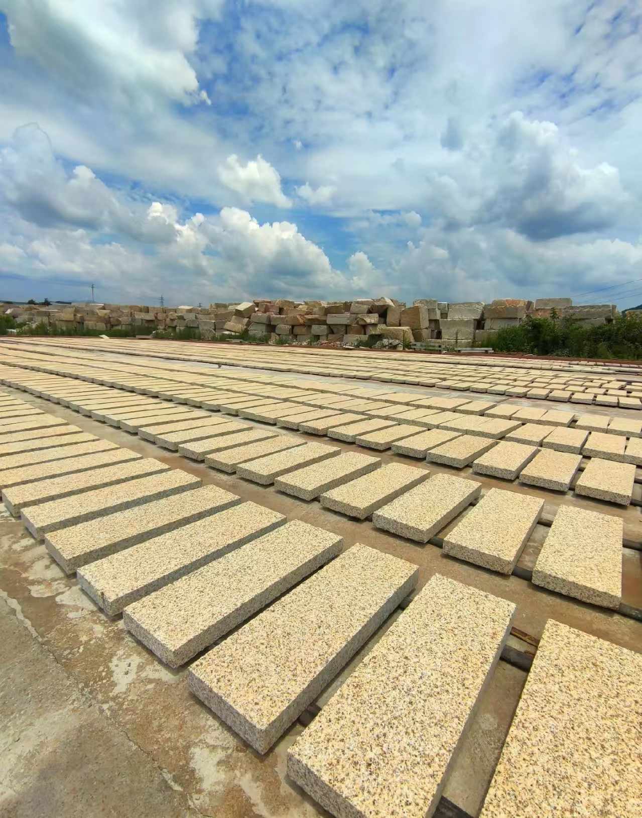 茂名 黄金麻荔枝面花岗岩石材地铺石防护中