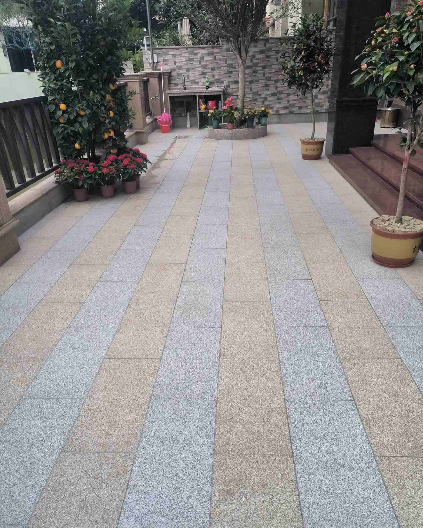 茂名 黄金麻白麻荔枝面庭院铺装展示