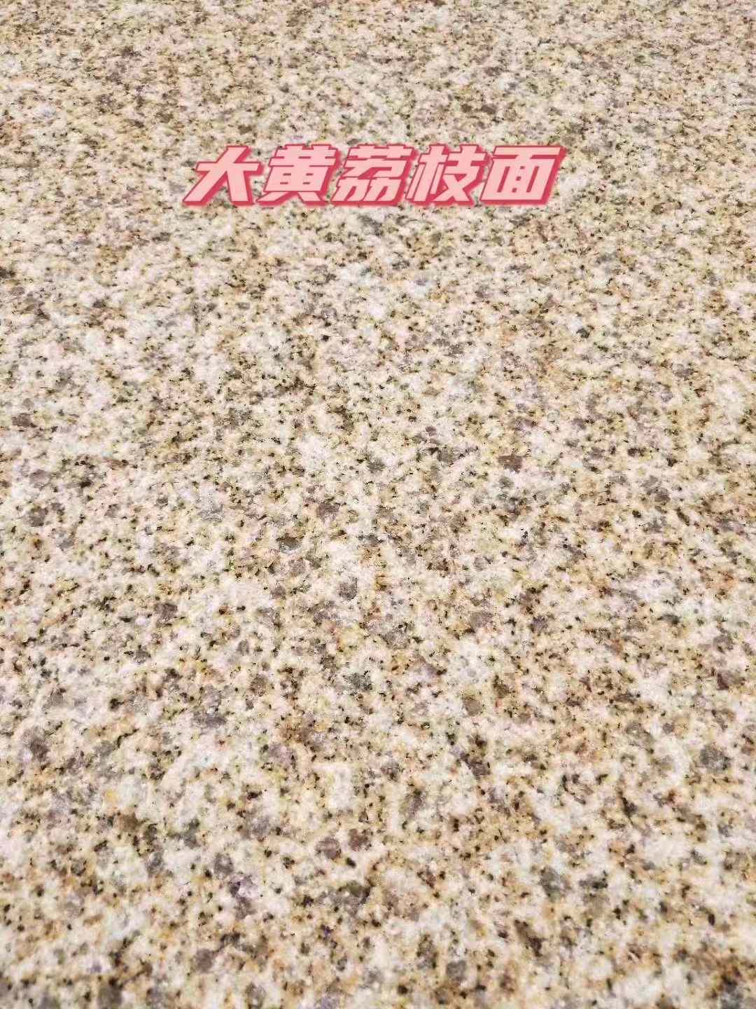 茂名黄金麻大黄荔枝面